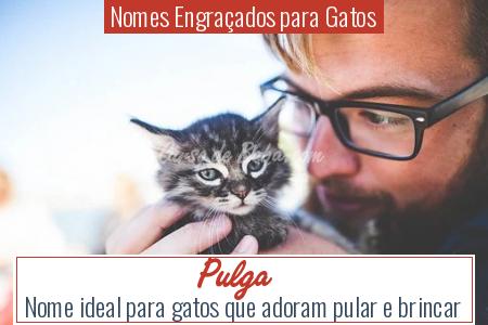 Nomes EngraÃÂ§ados para Gatos - Pulga