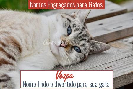 Nomes EngraÃÂ§ados para Gatos - Vespa