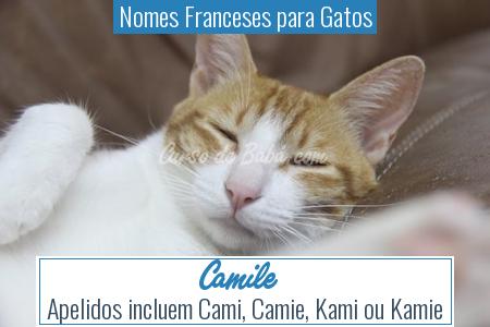 Nomes Franceses para Gatos - Camile
