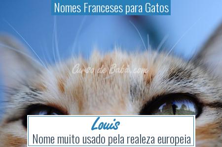 Nomes Franceses para Gatos - Louis 