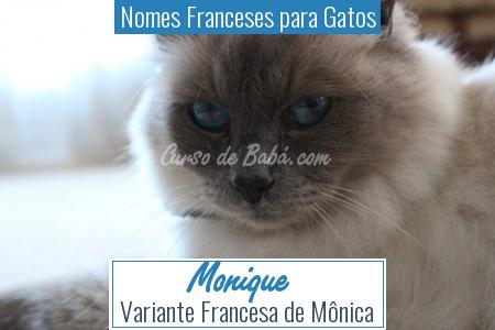 Nomes Franceses para Gatos - Monique