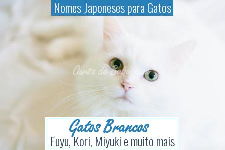 Nomes Japoneses para Gatos - Gatos Brancos