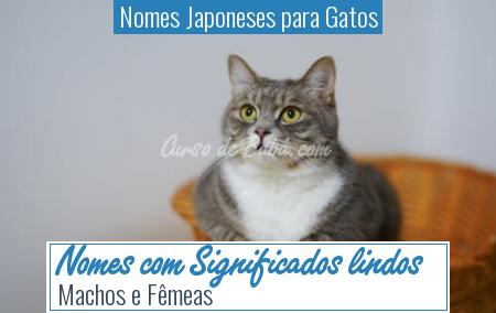 Nomes Japoneses para Gatos - Nomes com Significados lindos
