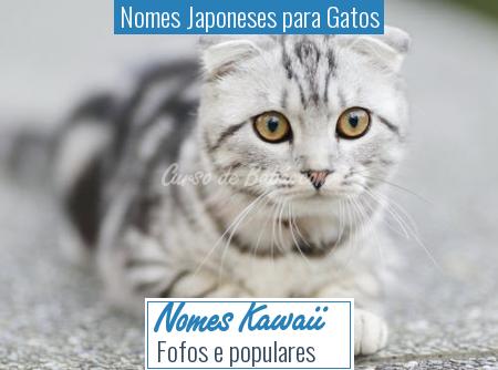 Nomes Japoneses para Gatos - Nomes Kawaii