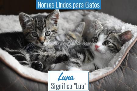 Nomes Lindos para Gatos - Luna