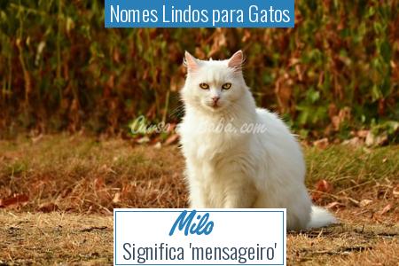 Nomes Lindos para Gatos - Milo