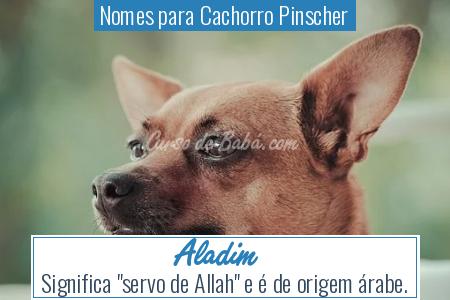 Nomes para Cachorro Pinscher - Aladim