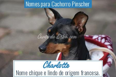 Nomes para Cachorro Pinscher - Charlotte