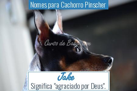 Nomes para Cachorro Pinscher - Jake