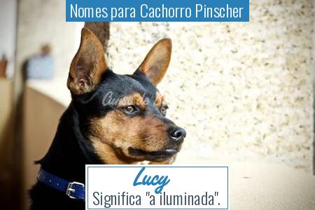 Nomes para Cachorro Pinscher - Lucy