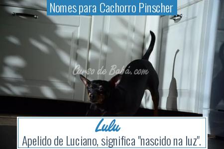 Nomes para Cachorro Pinscher - Lulu