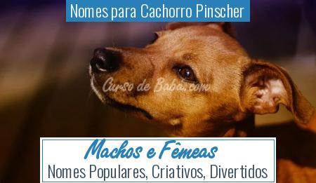 Nomes para Cachorro Pinscher - Machos e FÃÂªmeas