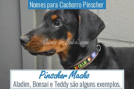 Nomes para Cachorro Pinscher - Pinscher Macho