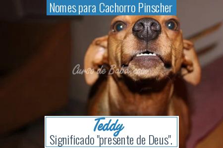 Nomes para Cachorro Pinscher - Teddy