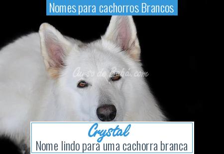 Nomes para cachorros Brancos - Crystal