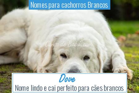 Nomes para cachorros Brancos - Dove