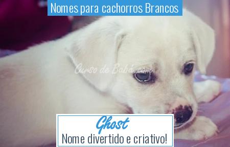 Nomes para cachorros Brancos - Ghost