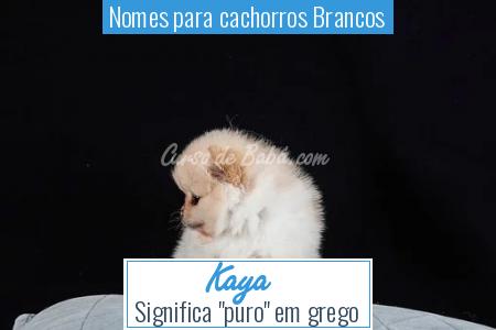 Nomes para cachorros Brancos - Kaya