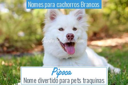 Nomes para cachorros Brancos - Pipoca