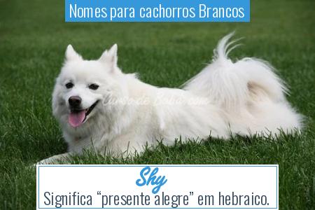 Nomes para cachorros Brancos - Shy