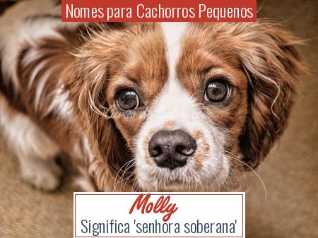 Nomes para Cachorros Pequenos - Molly