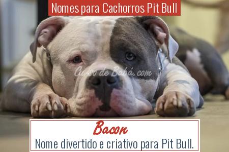 Nomes para Cachorros Pit Bull - Bacon