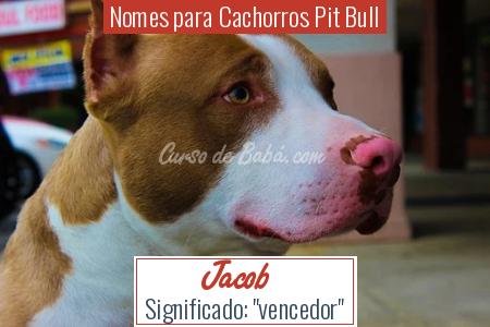 Nomes para Cachorros Pit Bull - Jacob