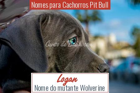 Nomes para Cachorros Pit Bull - Logan