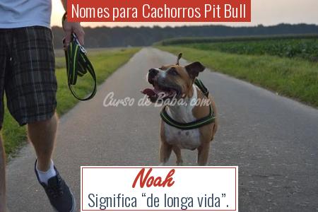 Nomes para Cachorros Pit Bull - Noah