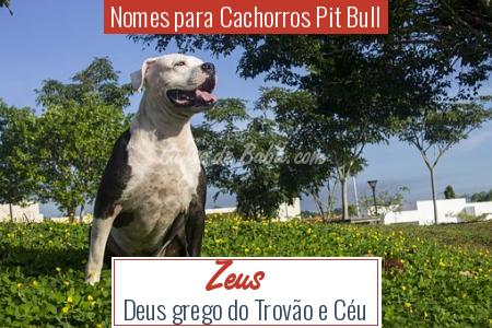 Nomes para Cachorros Pit Bull - Zeus