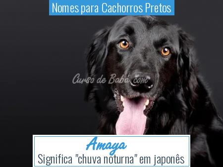 Nomes para Cachorros Pretos - Amaya