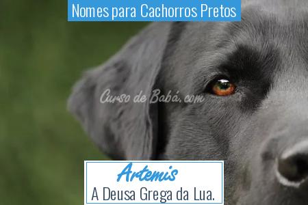 Nomes para Cachorros Pretos - Artemis