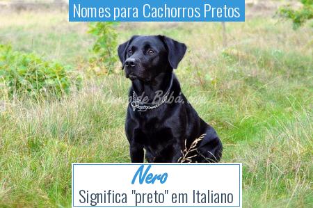 Nomes para Cachorros Pretos - Nero