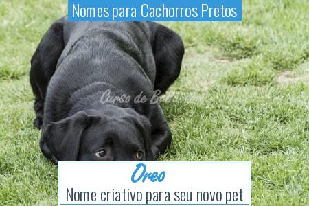 Nomes para Cachorros Pretos - Oreo