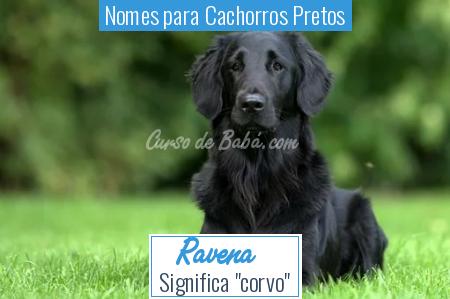 Nomes para Cachorros Pretos - Ravena