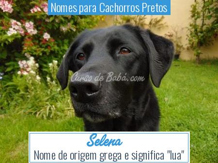 Nomes para Cachorros Pretos - Selena