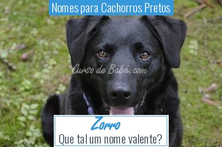 Nomes para Cachorros Pretos - Zorro