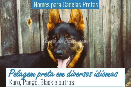 Nomes para Cadelas Pretas - Pelagem preta em diversos idiomas