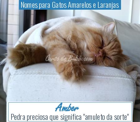 Nomes para Gatos Amarelos e Laranjas - Amber