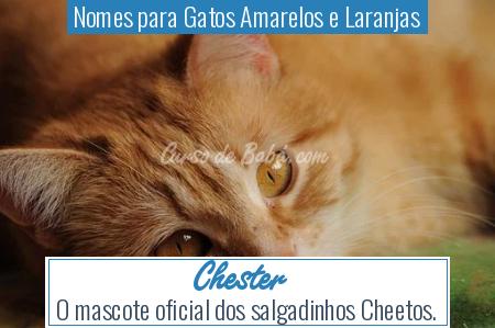 Nomes para Gatos Amarelos e Laranjas - Chester