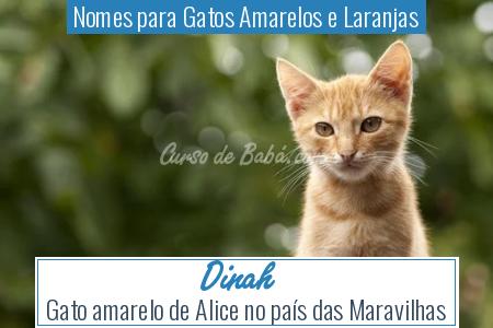 Nomes para Gatos Amarelos e Laranjas - Dinah
