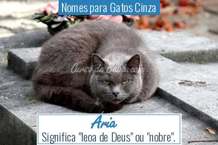 Nomes para Gatos Cinza - Ãria