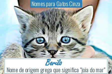 Nomes para Gatos Cinza - Berilo