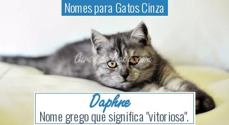 Nomes para Gatos Cinza - Daphne
