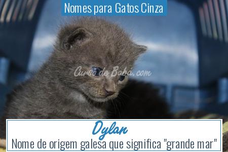 Nomes para Gatos Cinza - Dylan