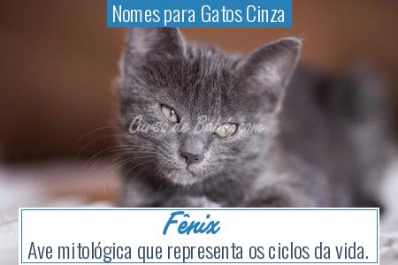 Nomes para Gatos Cinza - FÃªnix