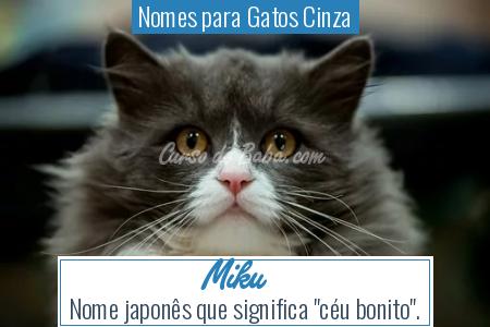 Nomes para Gatos Cinza - Miku