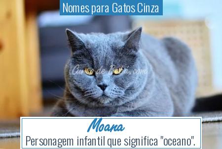 Nomes para Gatos Cinza - Moana