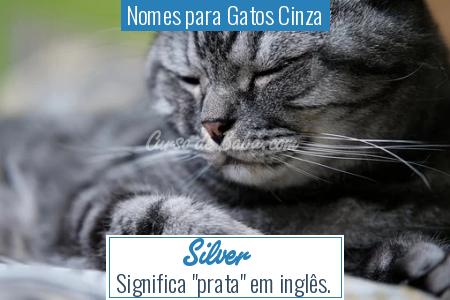 Nomes para Gatos Cinza - Silver