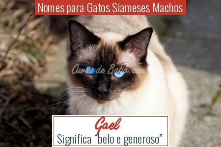 Nomes para Gatos Siameses Machos - Gael